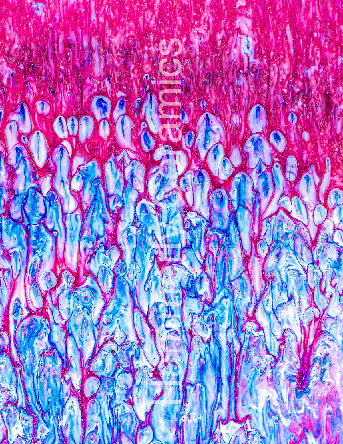 Magenta Melt Print