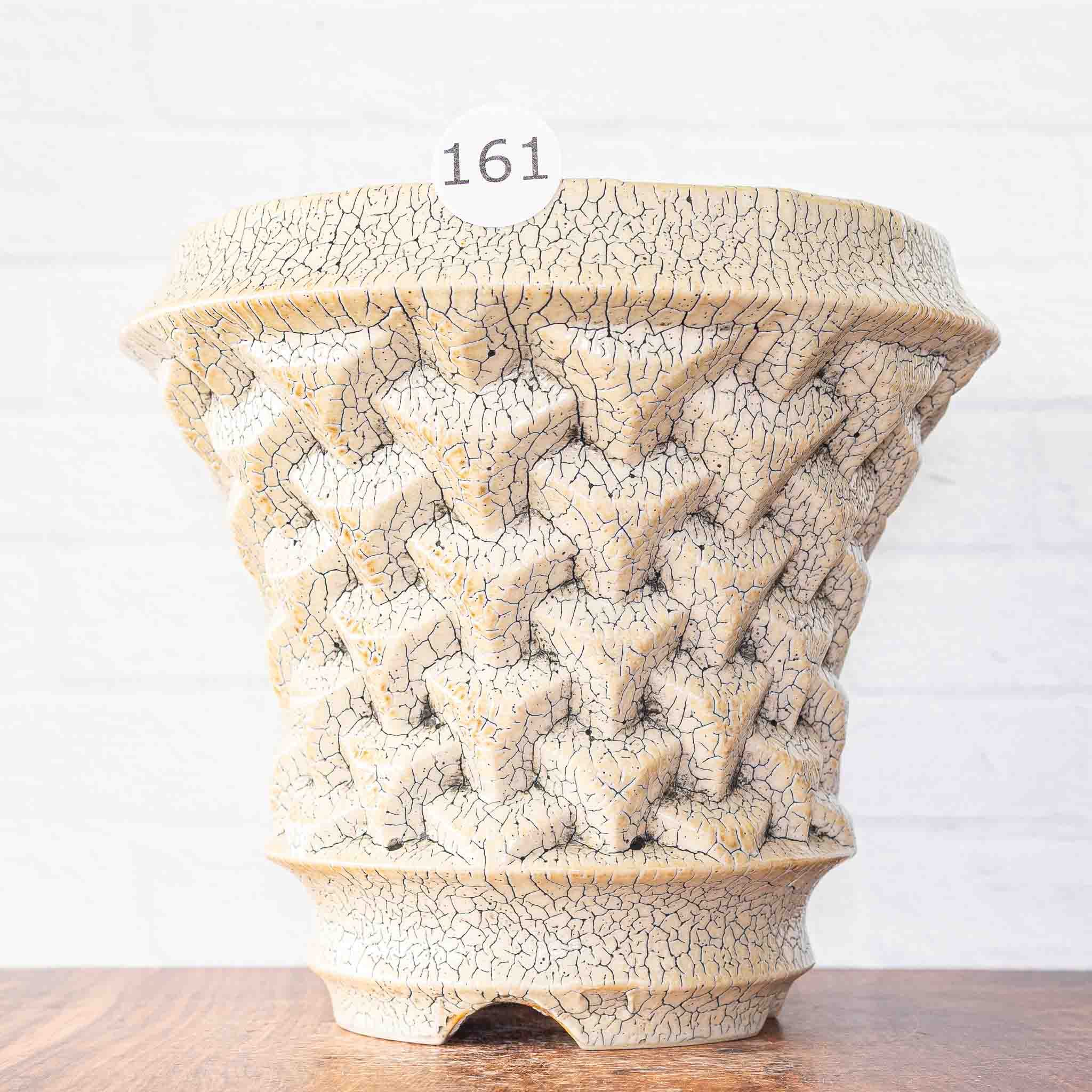 #161 - Agave Planter