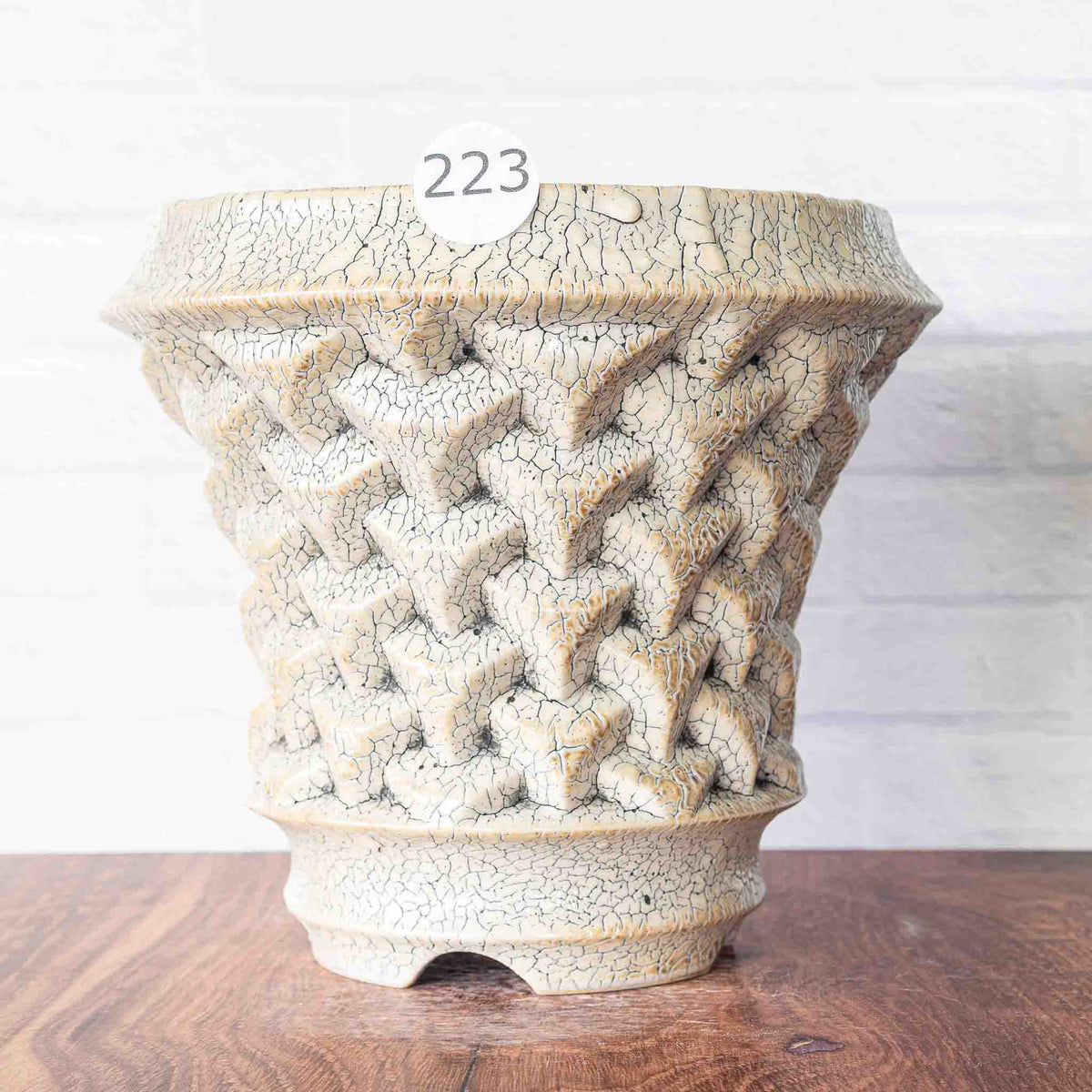 #223 - Agave Planter