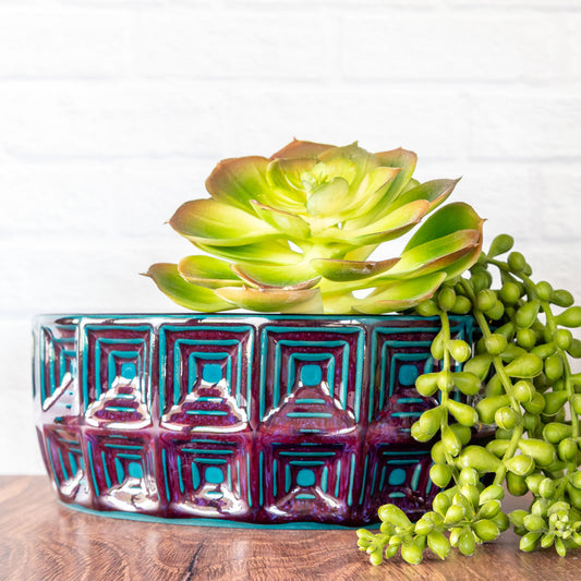 'Dragon Blood' Bonsai/Succulent Planter