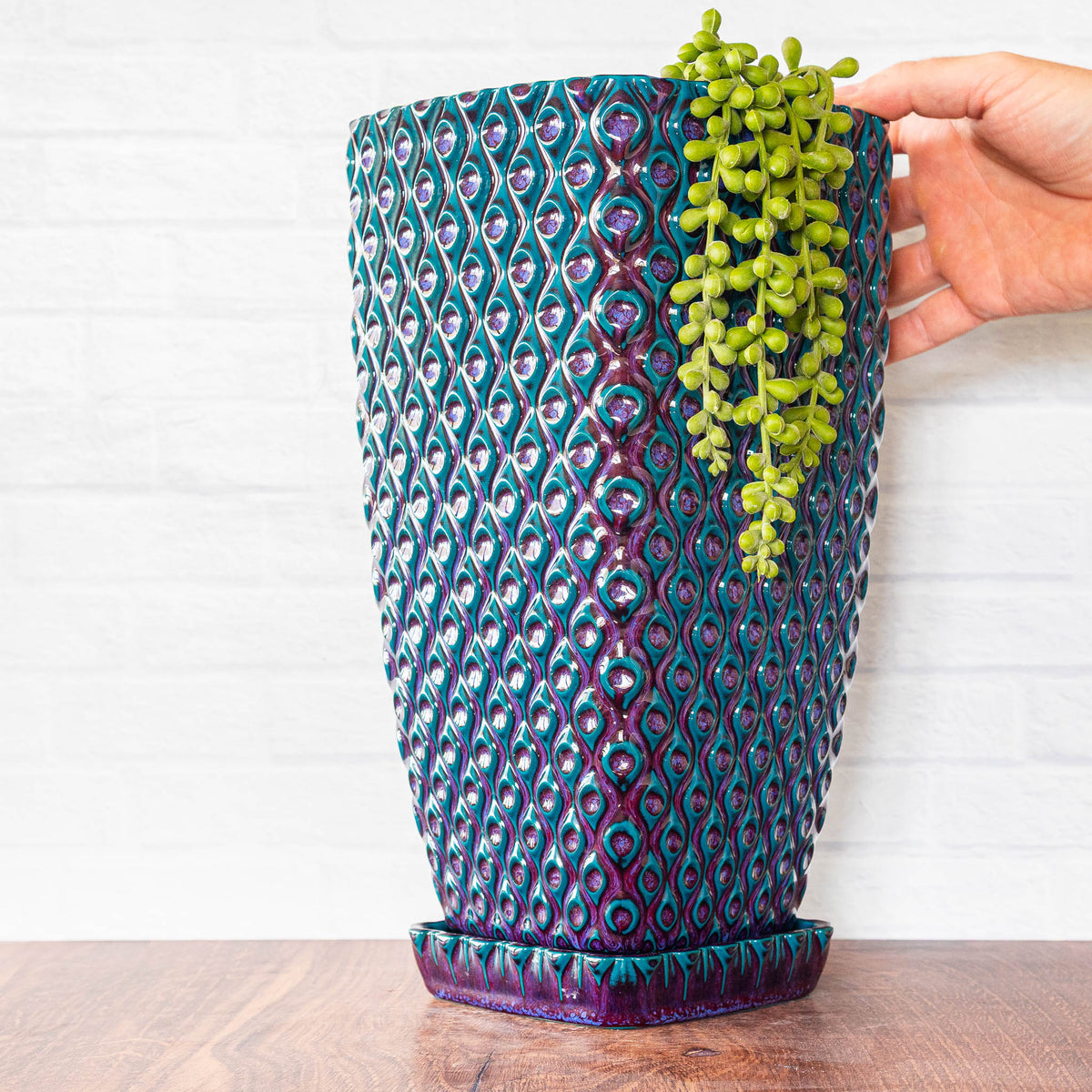 Tall Peacock Planter