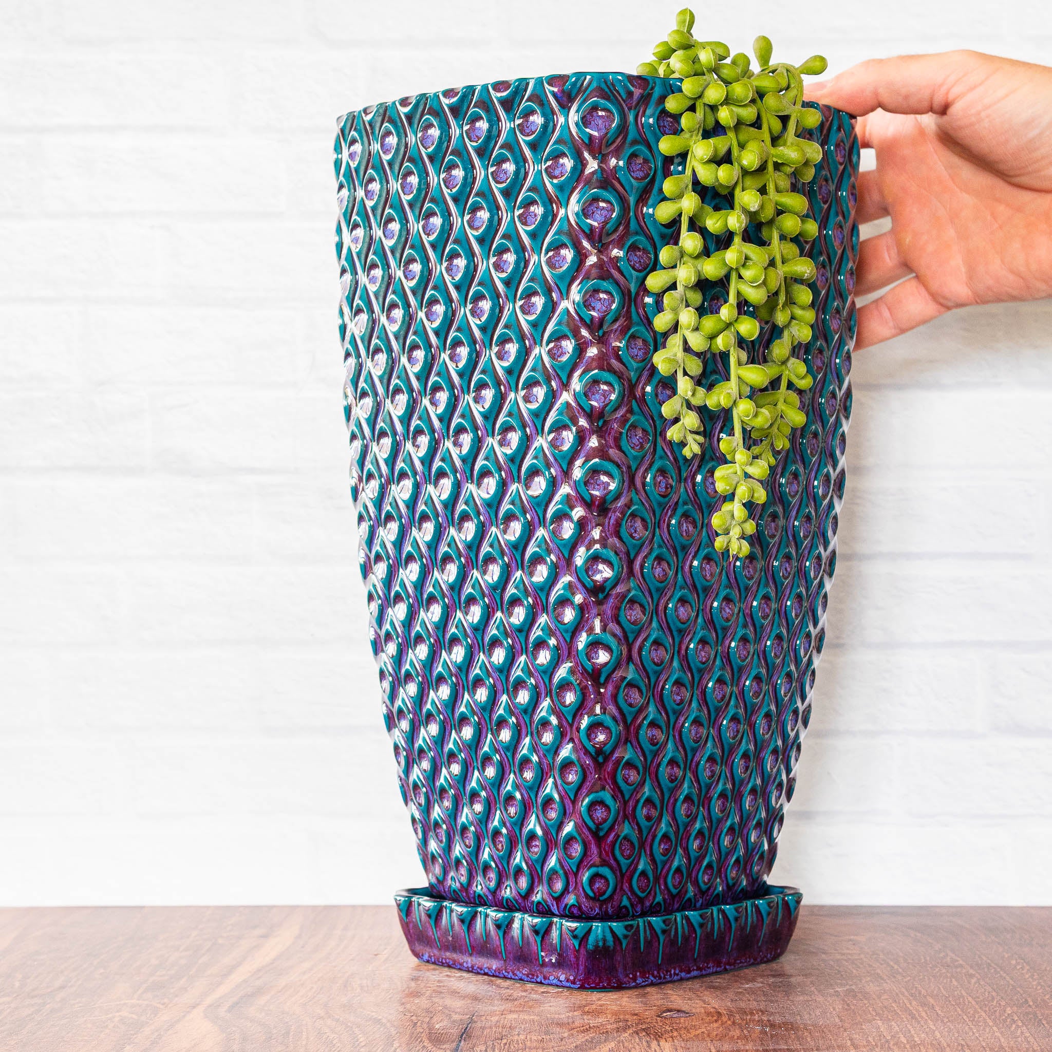 Tall Peacock Planter