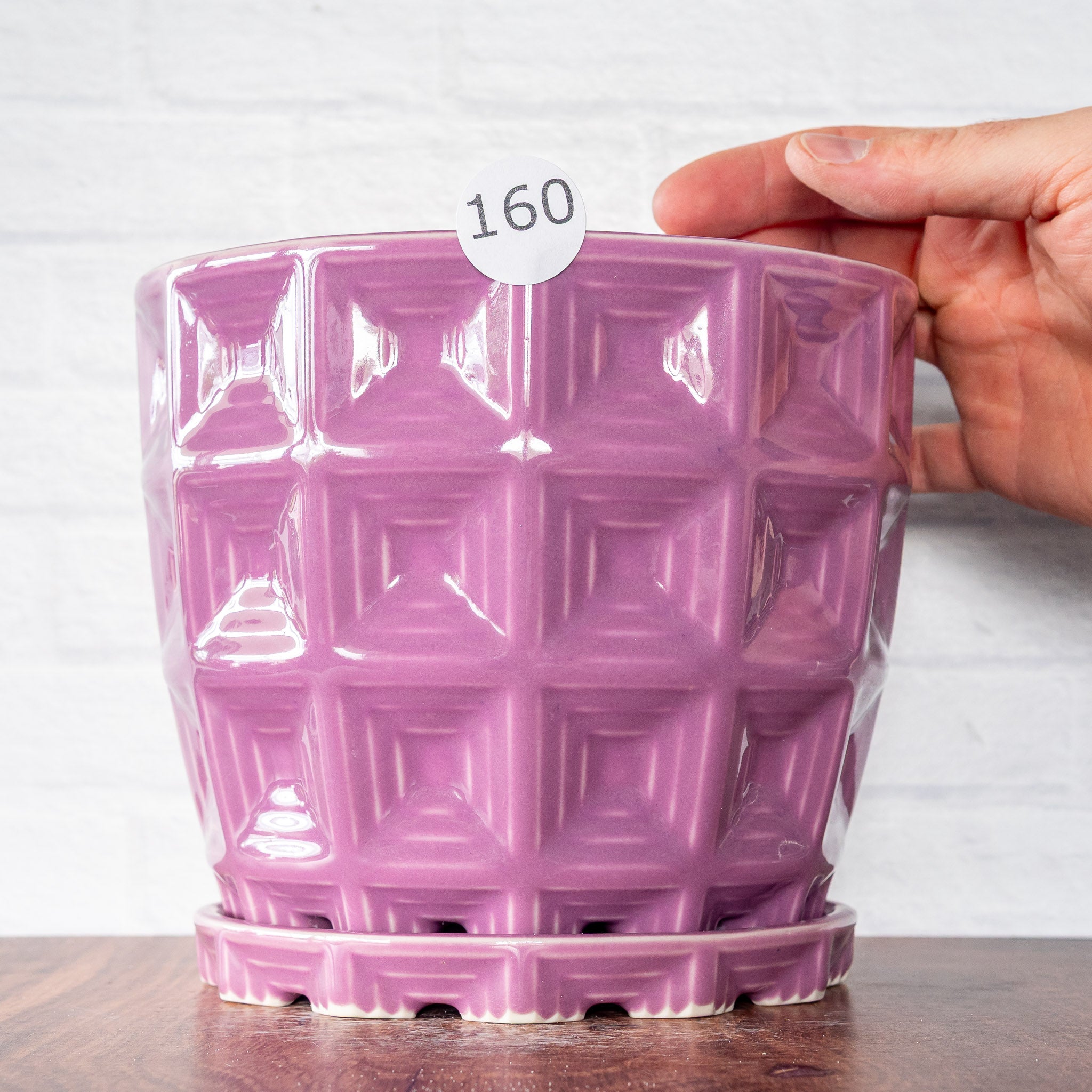 #160 - Pantheon Planter