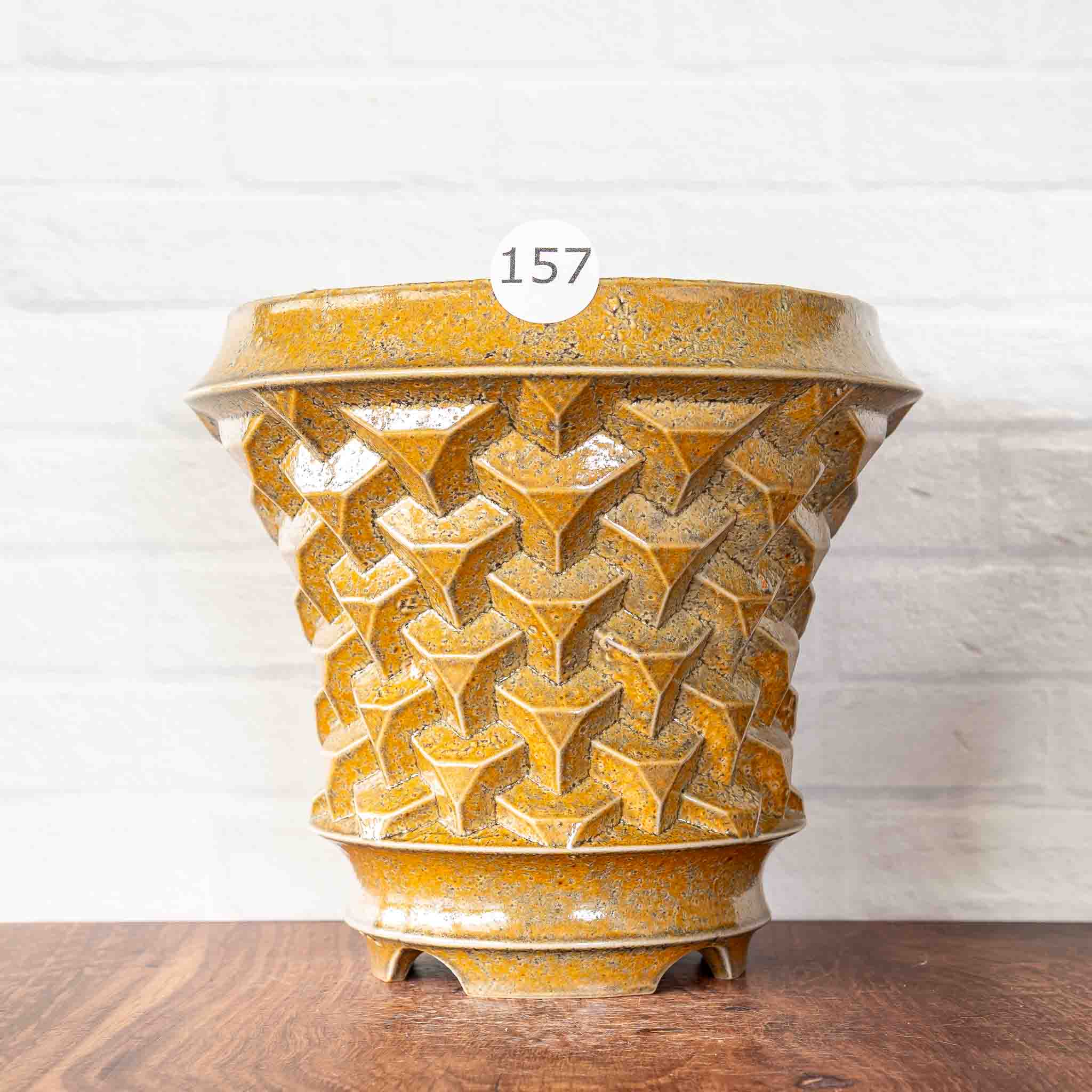 #157 - Agave Planter