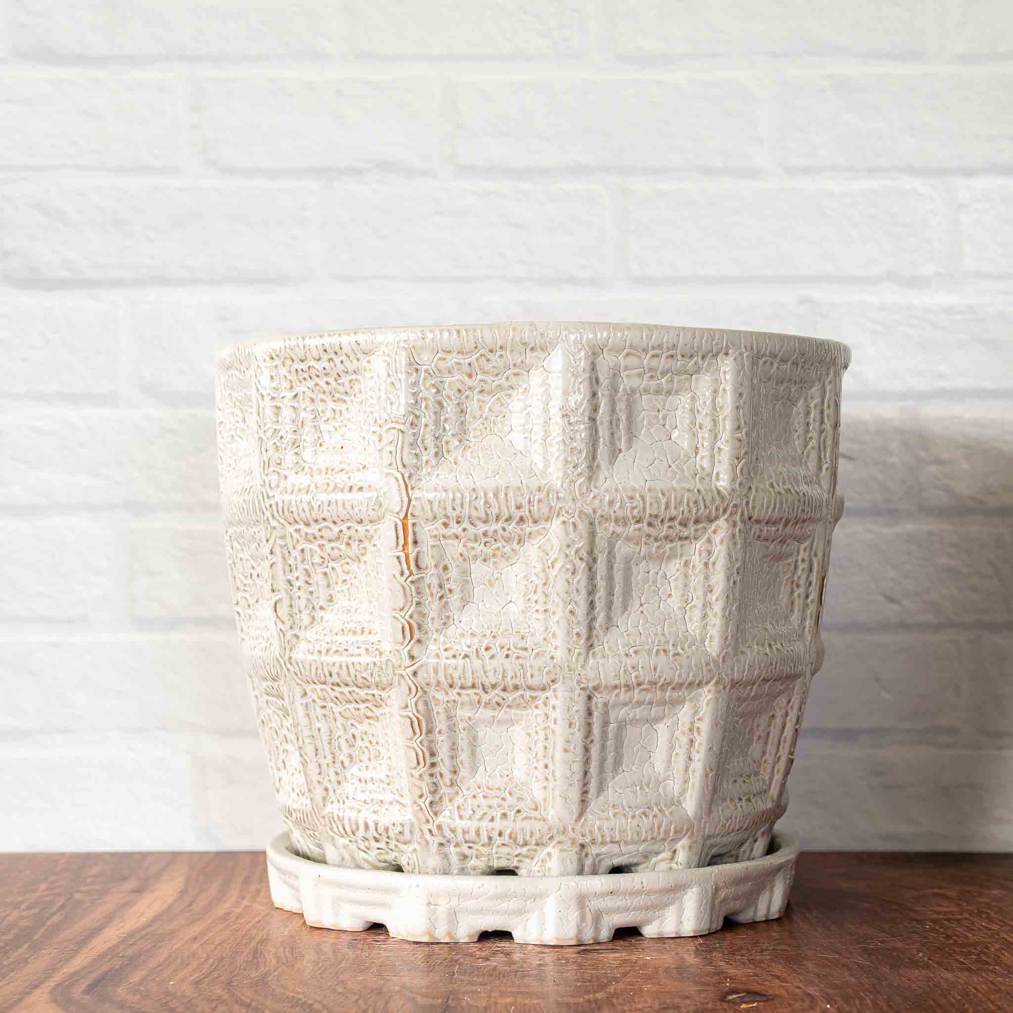 #161 - Pantheon Planter