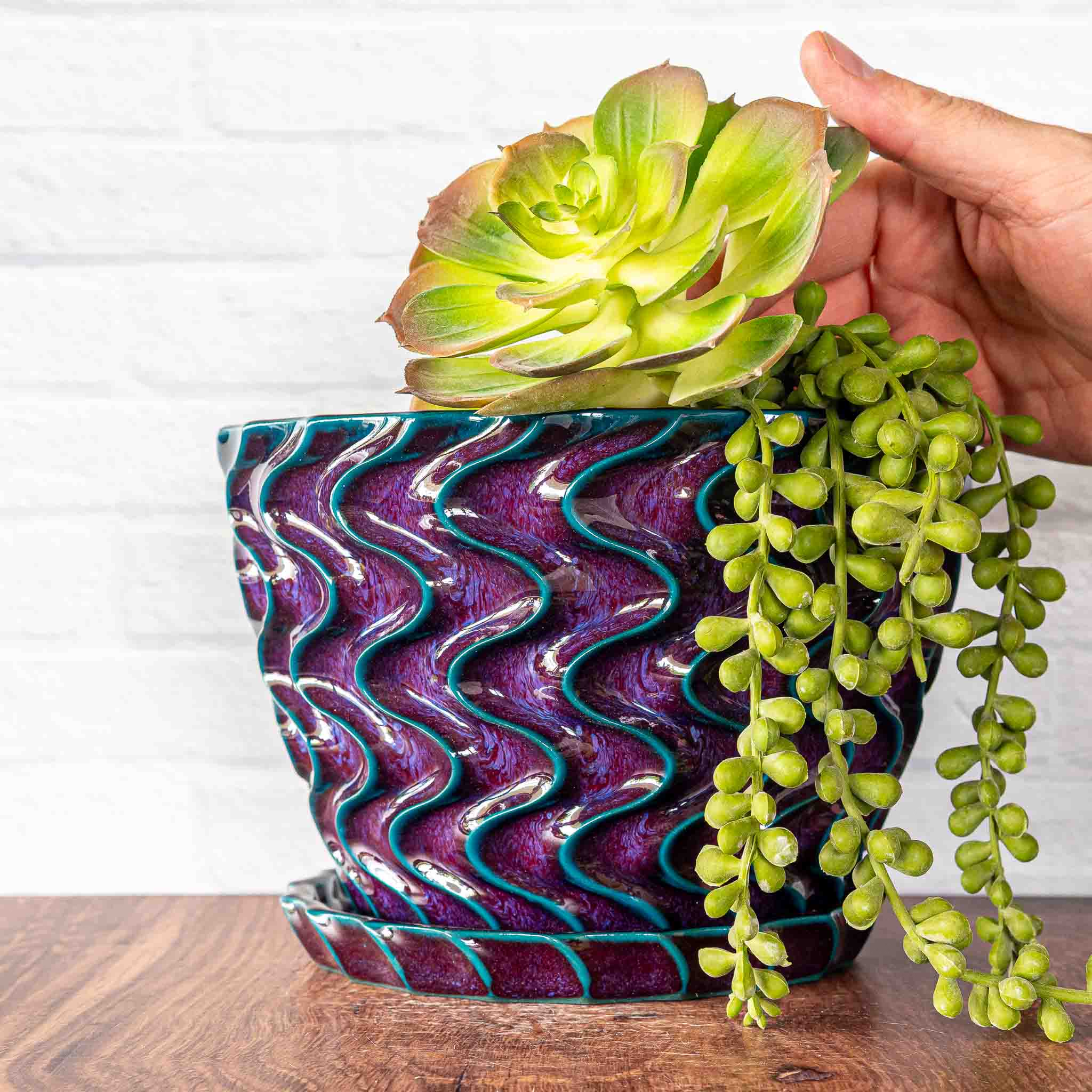 Frequency Planter