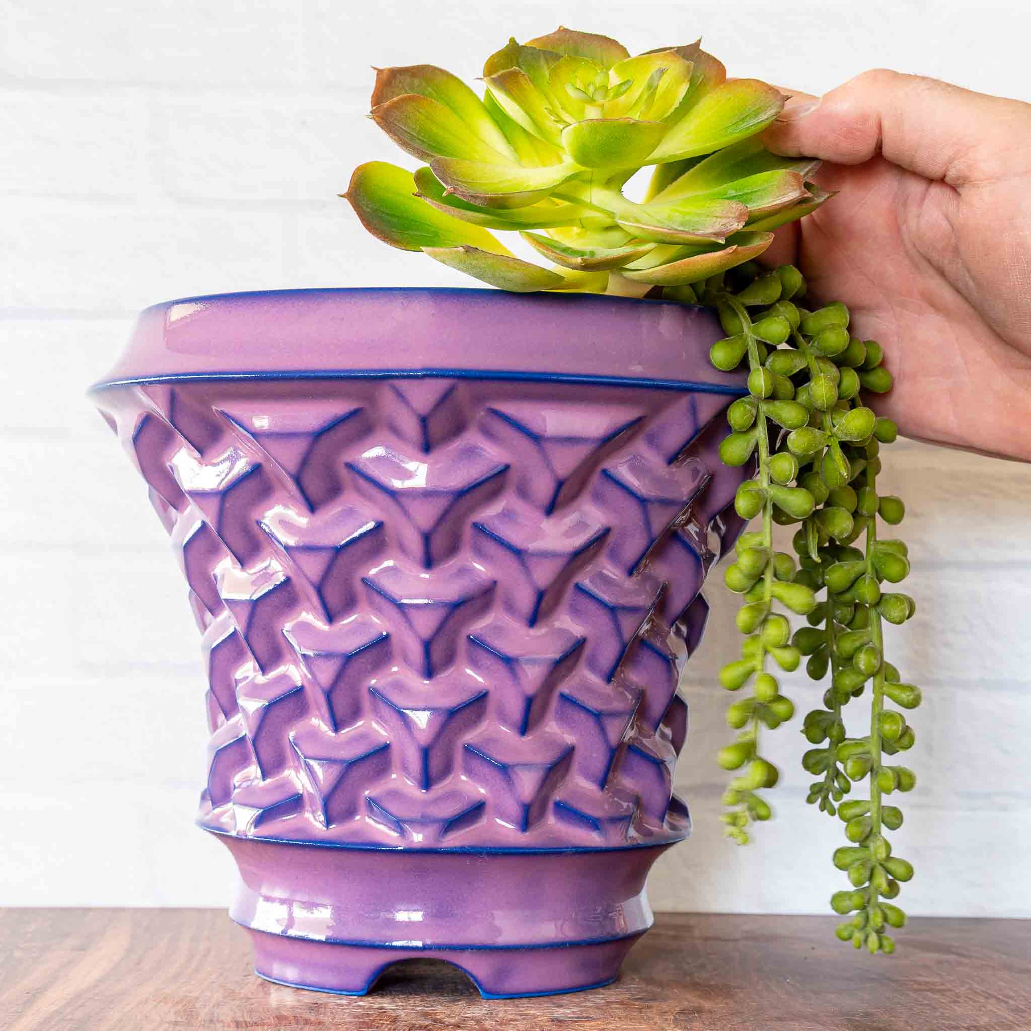 Agave Planter