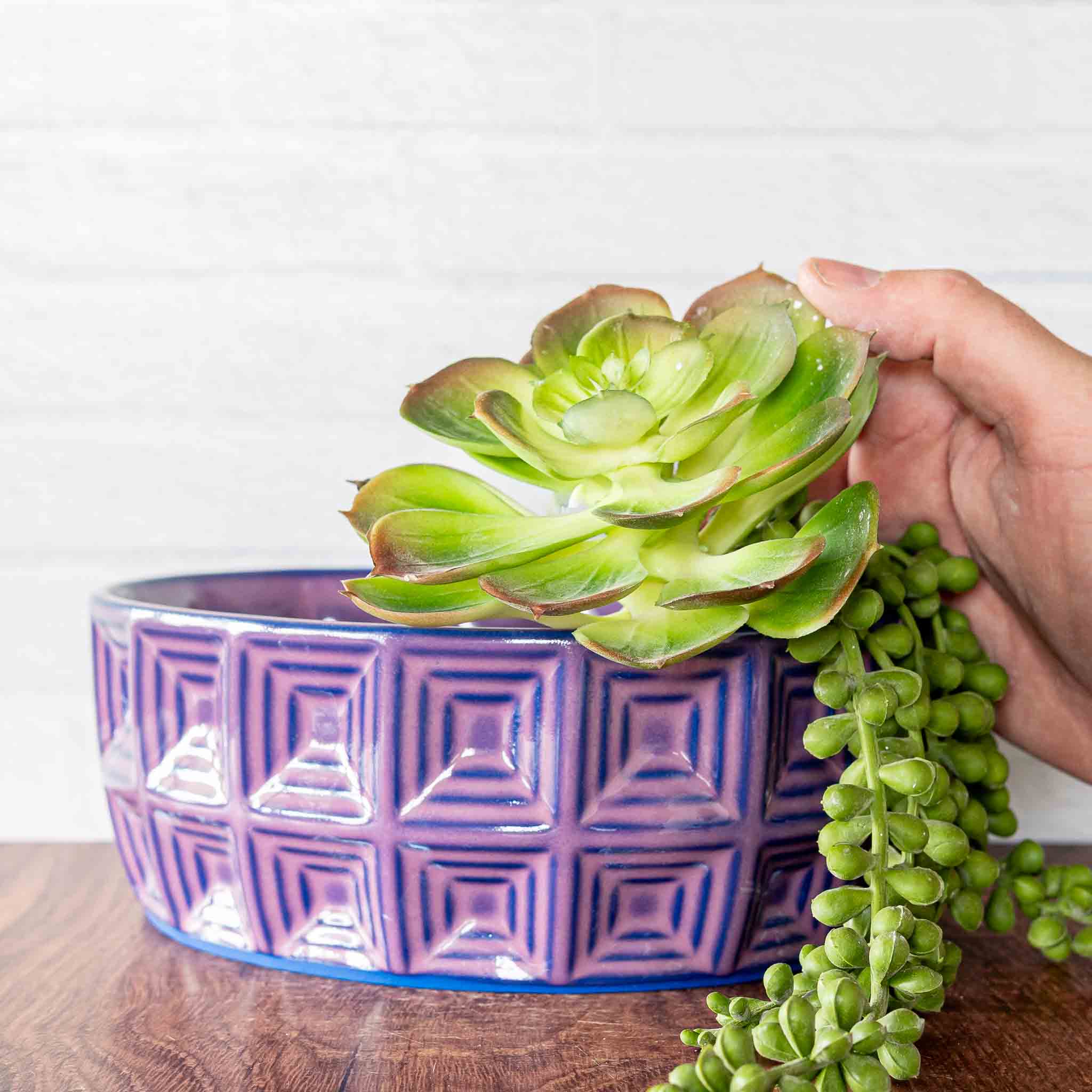 Pantheon Bonsai/Succulent Planter