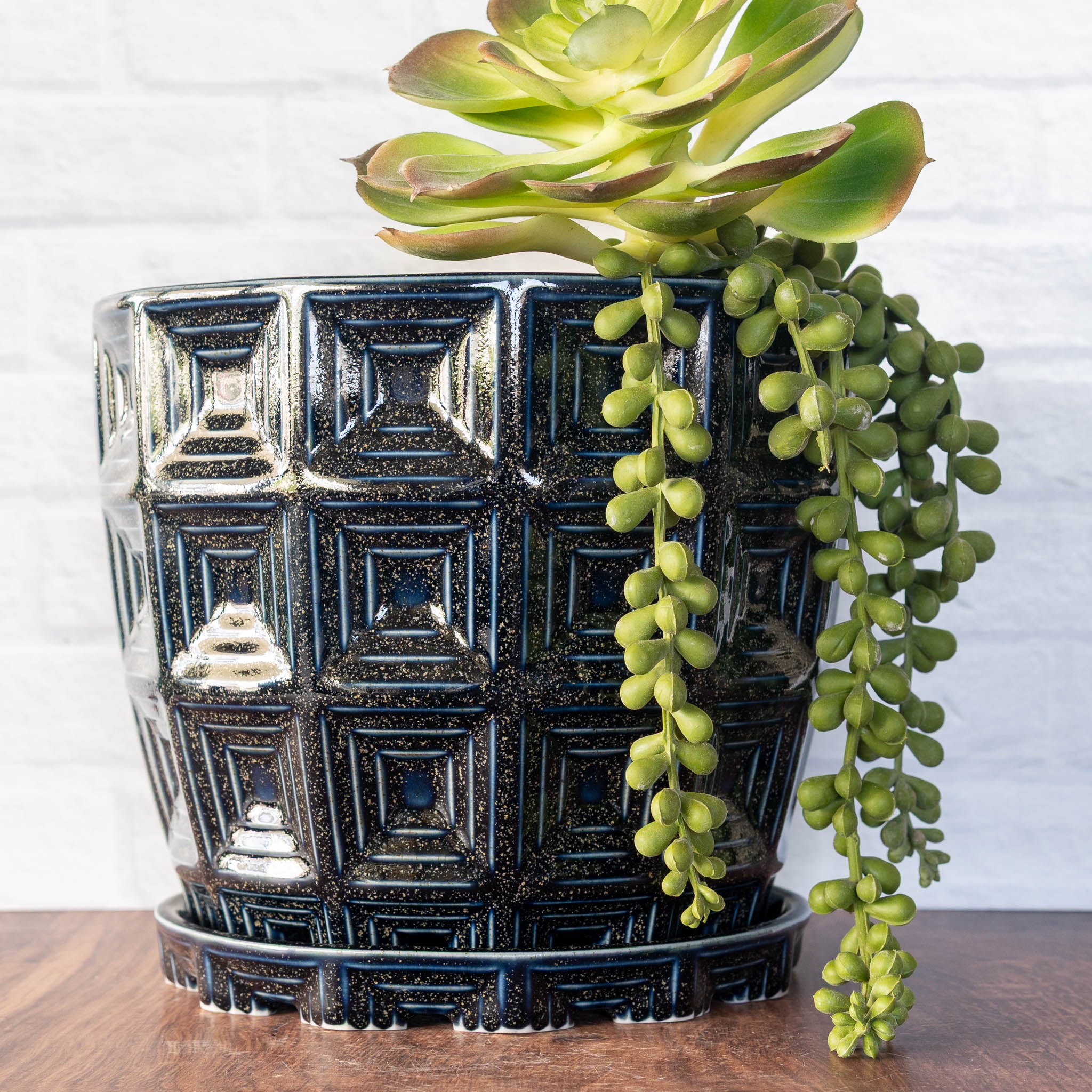 Hammerly Ceramics handmade slip-cast planter in glossy deep navy glaze with gold speckles, barrel-shaped with concentric recessed squares