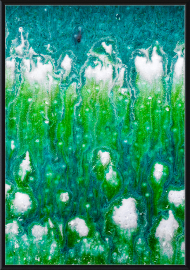 Lagoon by Curt Hammerly