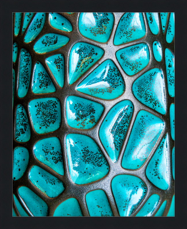 Jade Leopard Framed Print