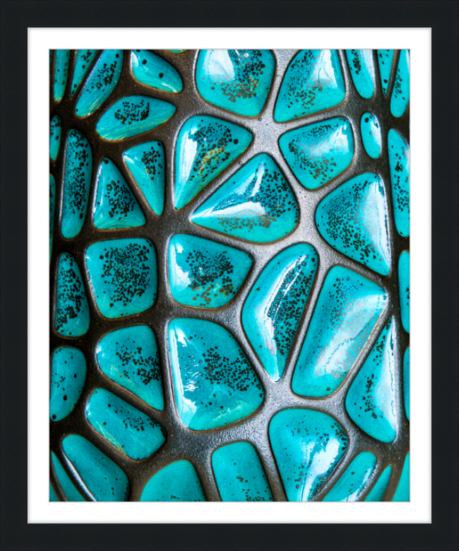 Jade Leopard Framed Print