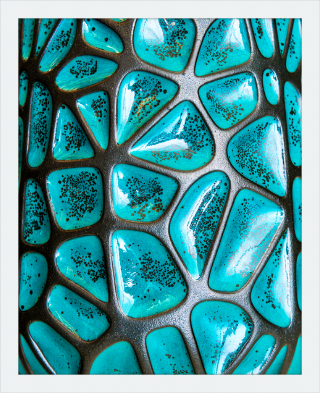 Jade Leopard Framed Print