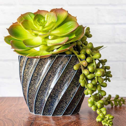 4.5" Twist 'Blue Teadust' Short Planter