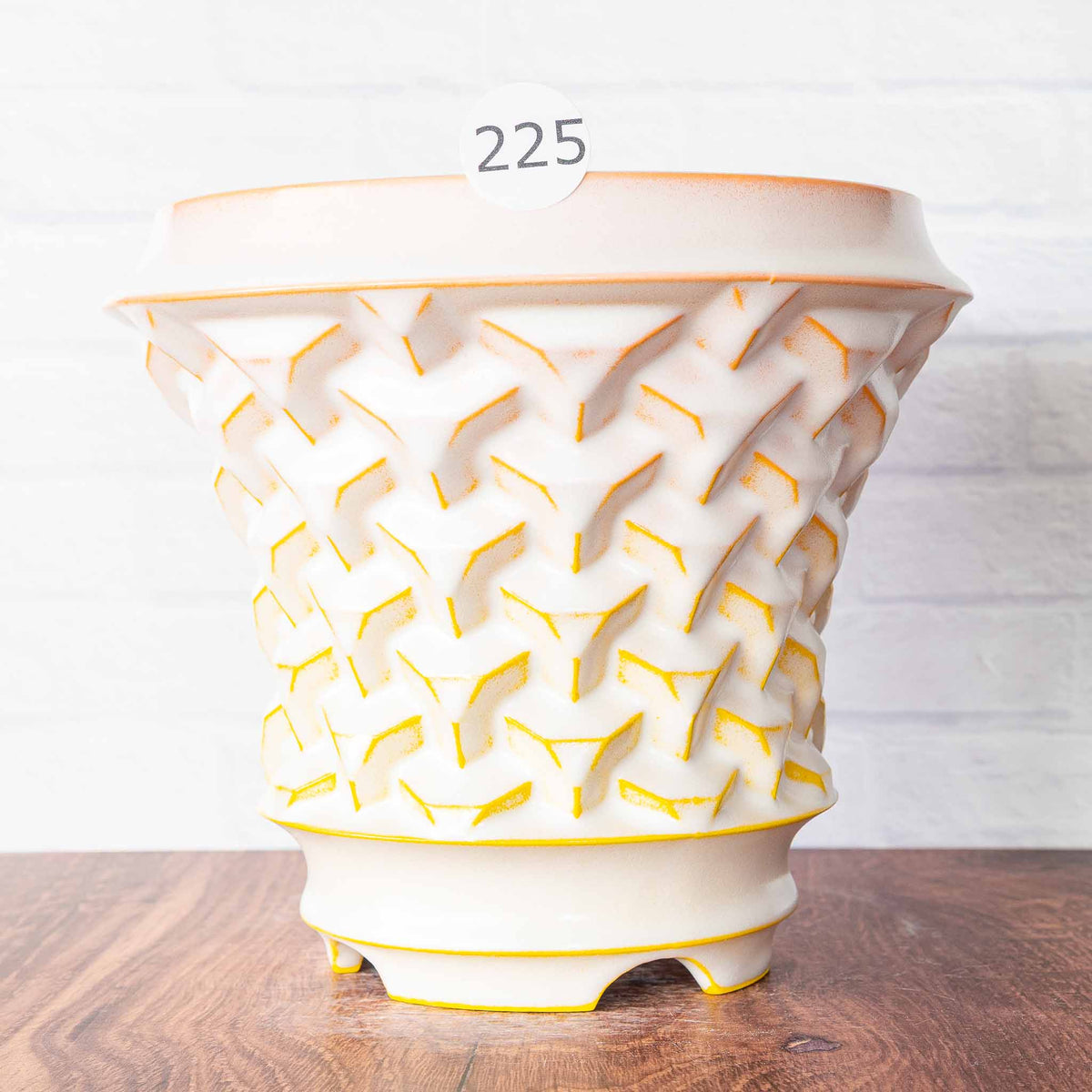 #225 - Agave Planter