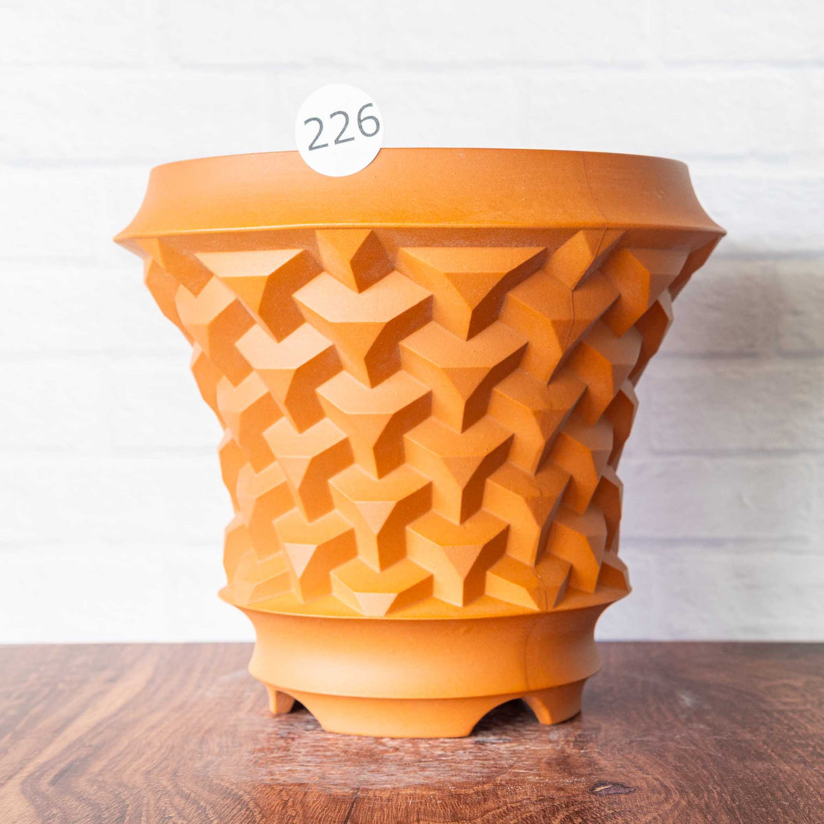 #226 - Agave Planter