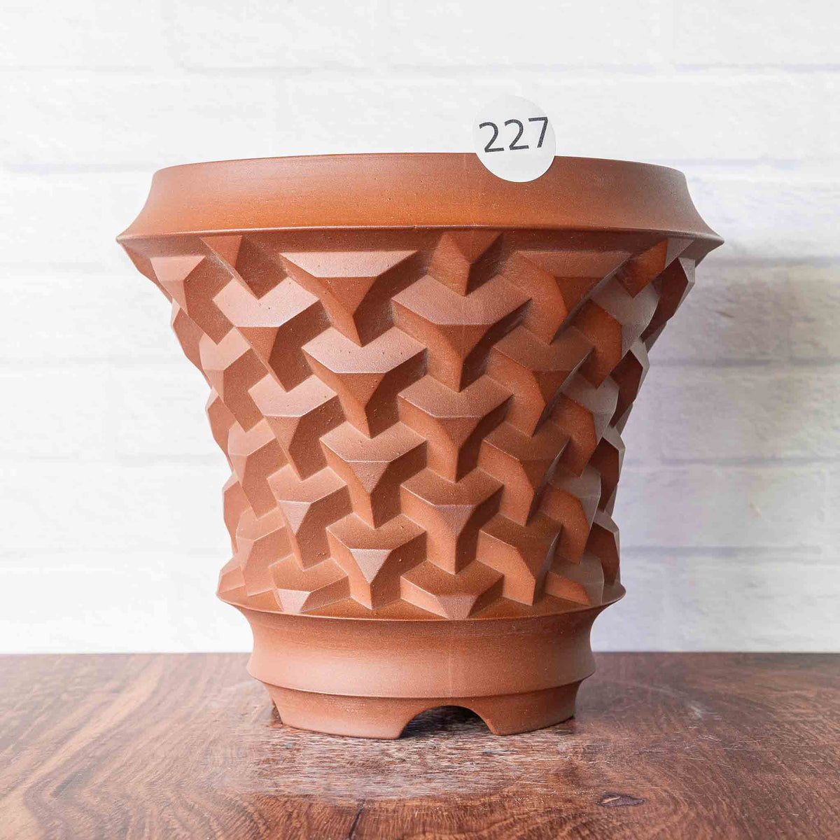 #227 - Agave Planter
