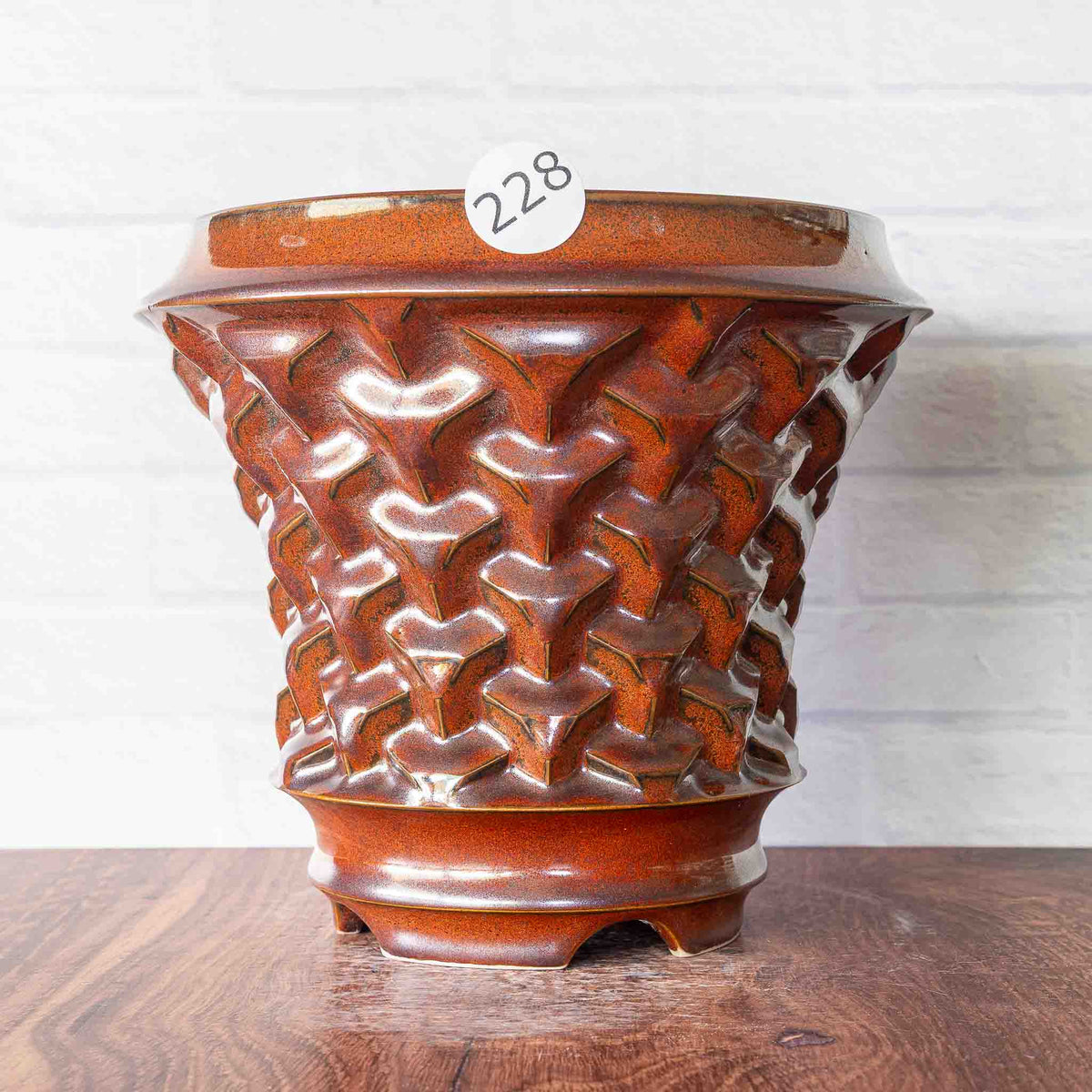 #228 - Agave Planter