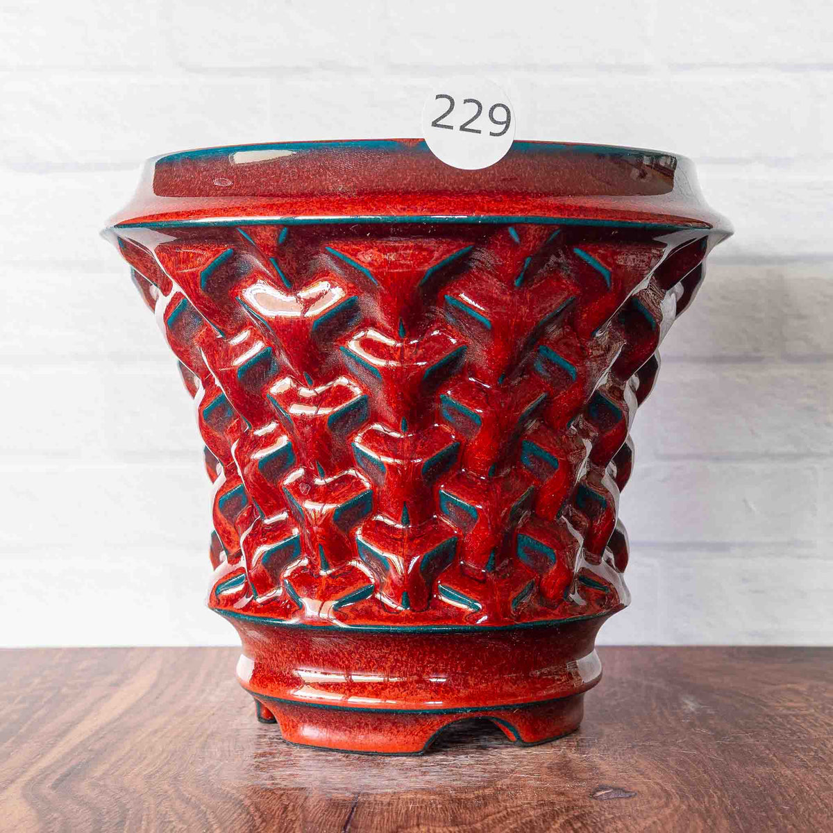 #229 - Agave Planter