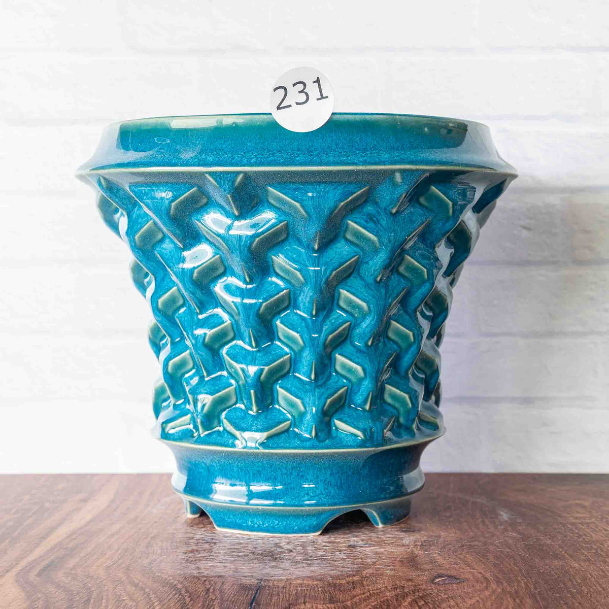 #231 - Agave Planter