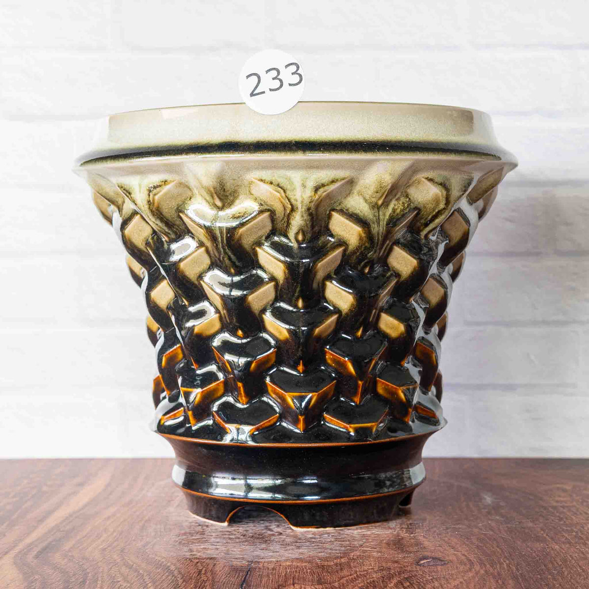 #233 - Agave Planter