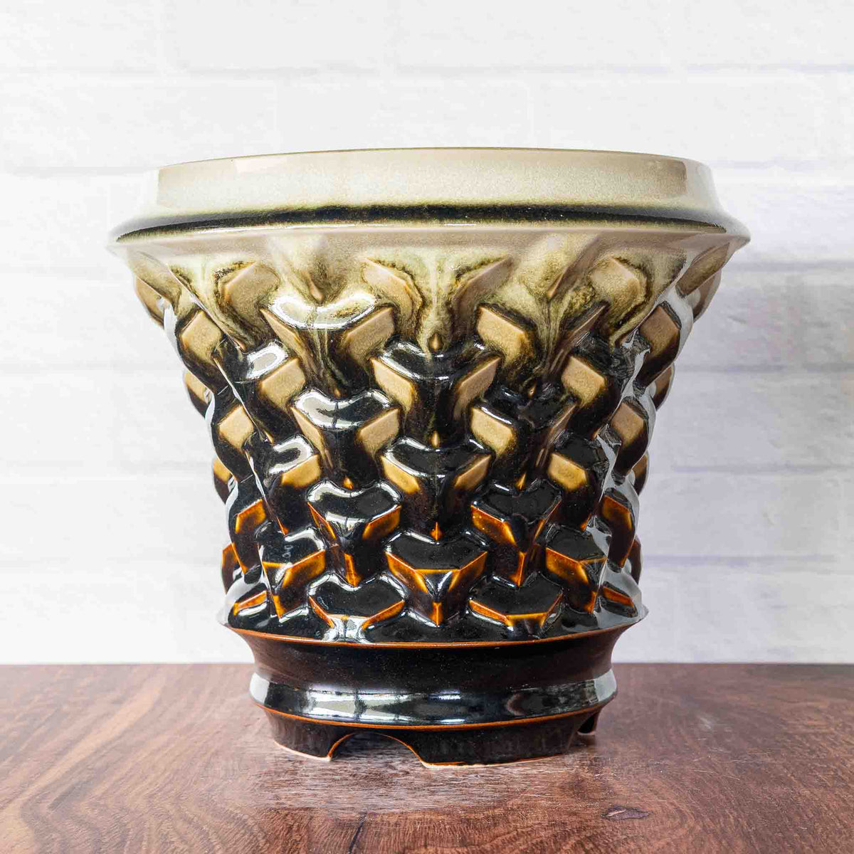 #233 - Agave Planter