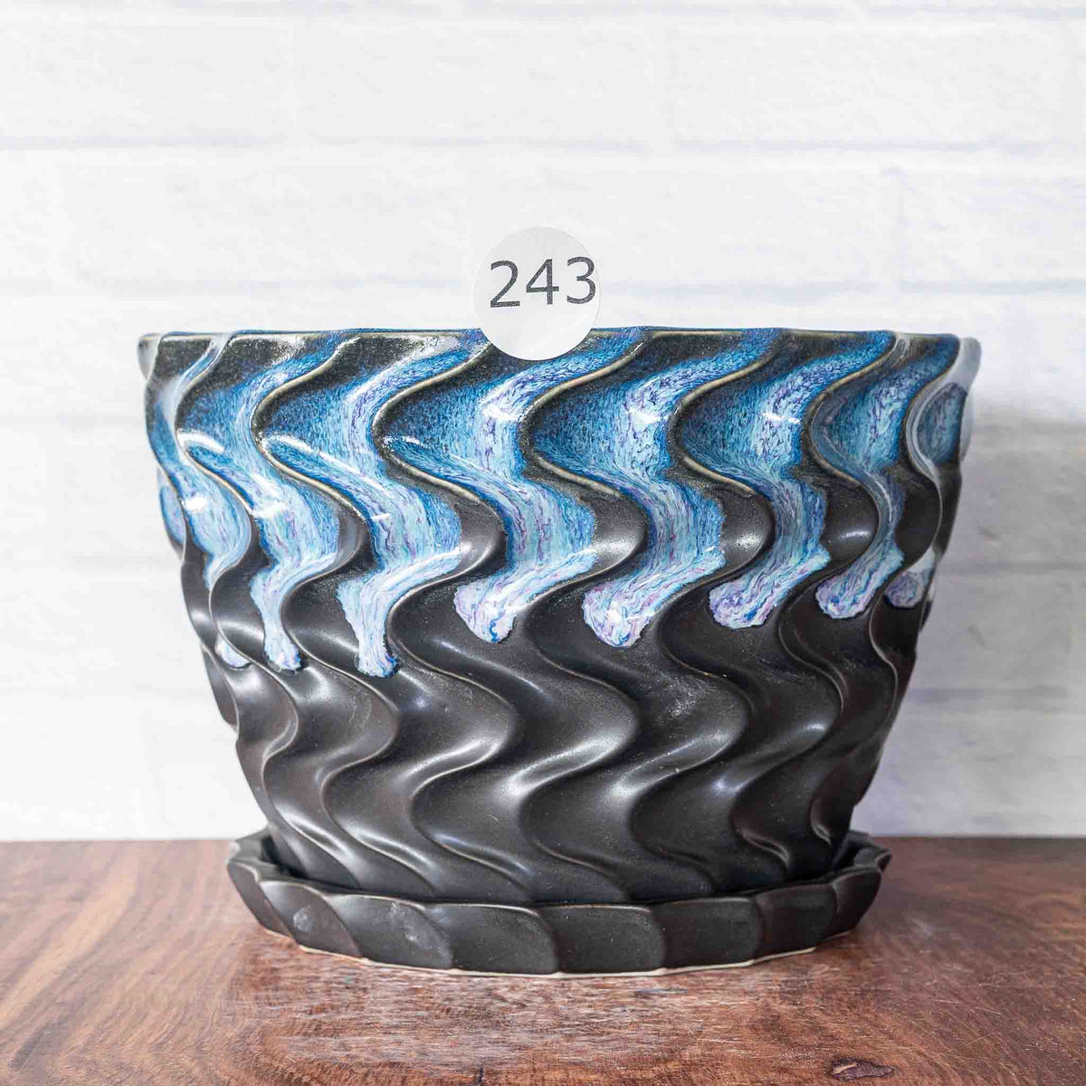 #243 - Frequency Planter