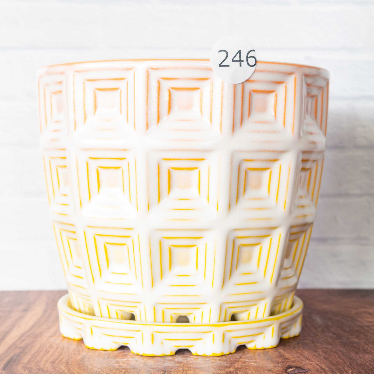 #246 - Pantheon Planter
