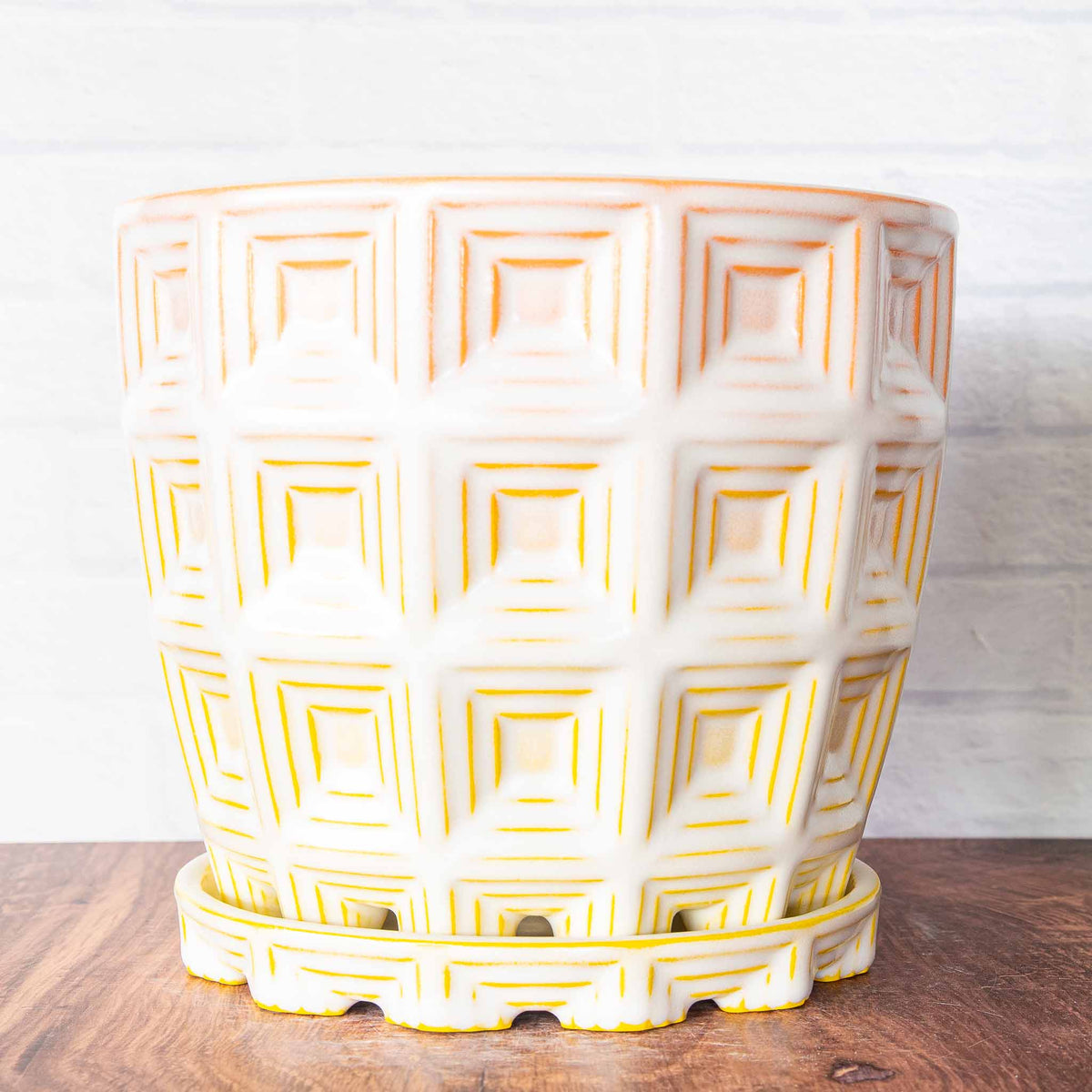 #246 - Pantheon Planter