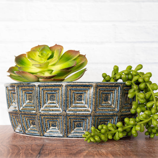 Bonsai/Succulent 'Blue Teadust' Planter