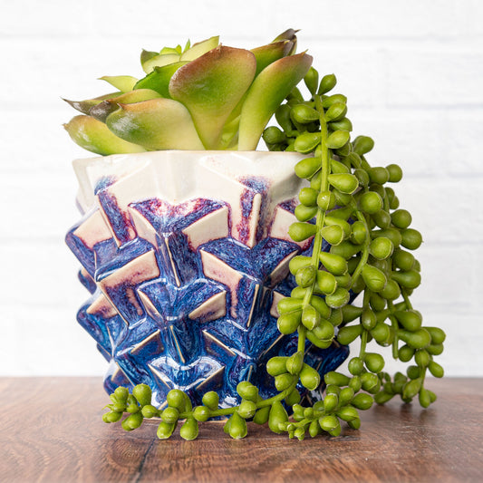 Medium 'Magenta Fire' Cubes Planter