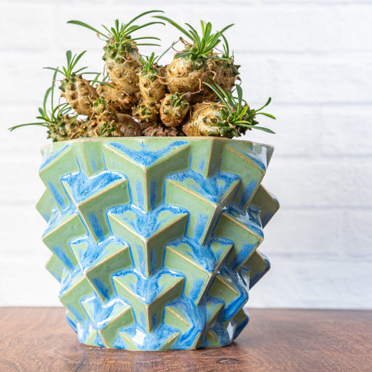 Medium 'Earth Day' Cubes Planter