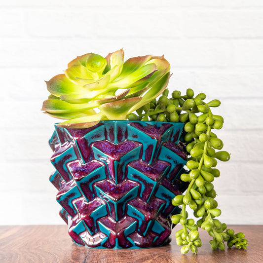 'Dragon Blood' Medium Cubes Planter