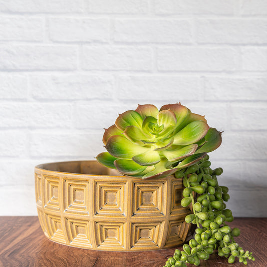 'Sandstone' Bonsai/Succulent Planter