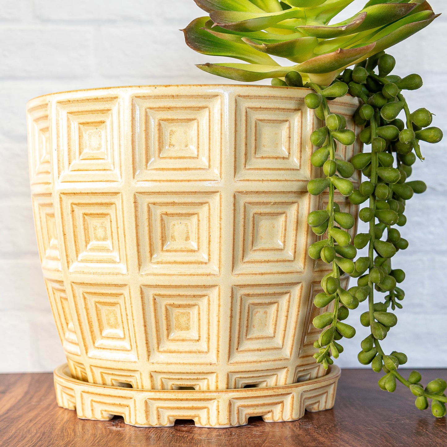 'Banilla' Squares Planter