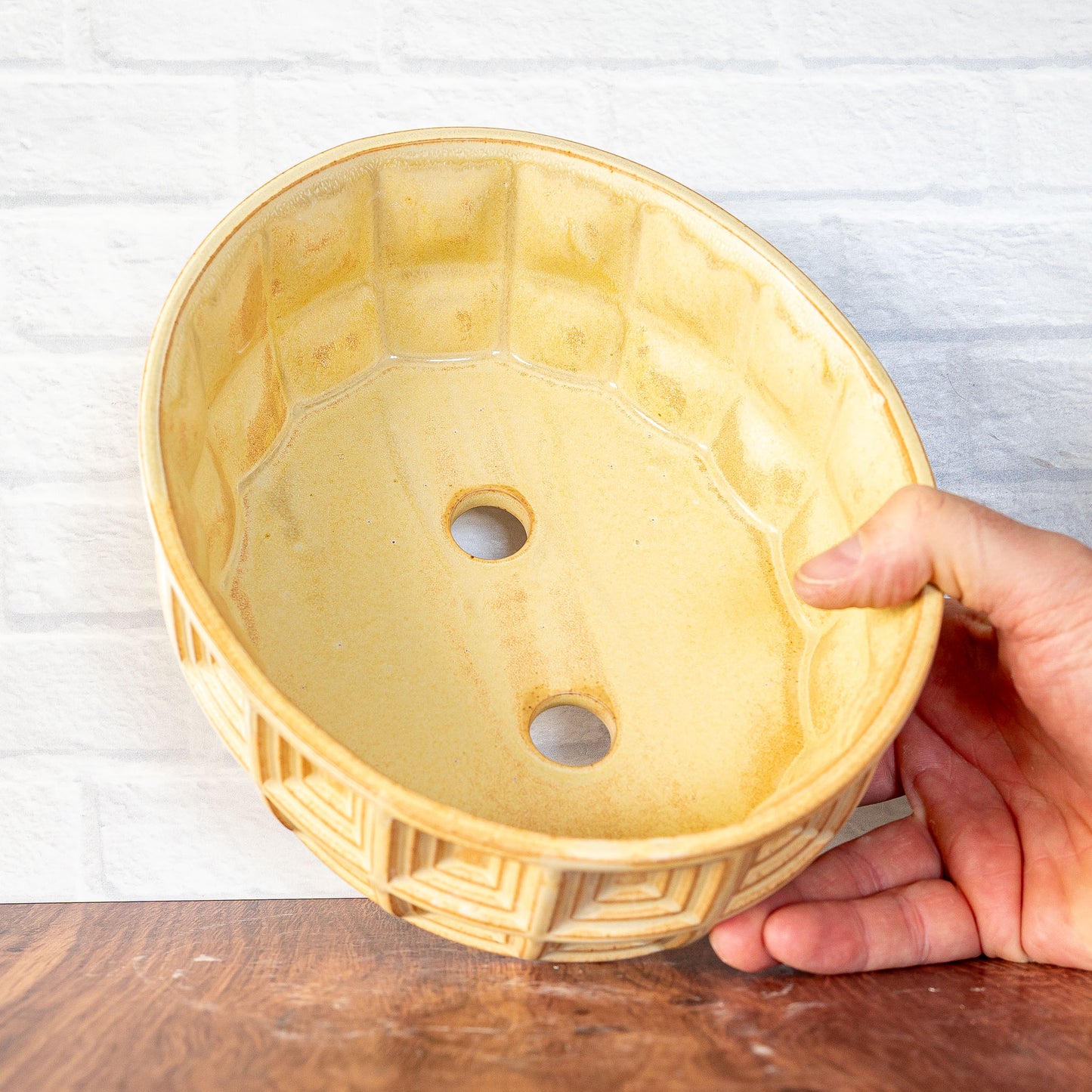 'Banilla' Bonsai/Succulent Planter