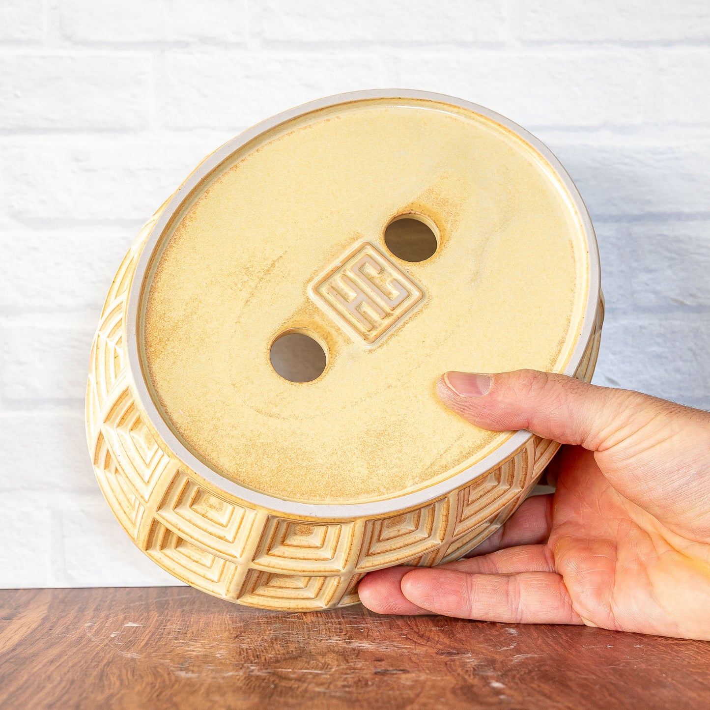 'Banilla' Bonsai/Succulent Planter