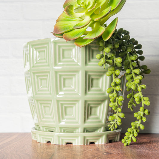 'Green Celadon' Squares Planter