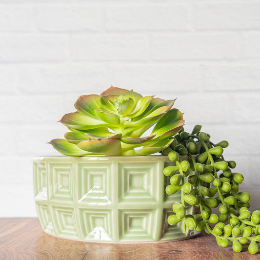 'Green Celadon' Bonsai/Succulent Planter