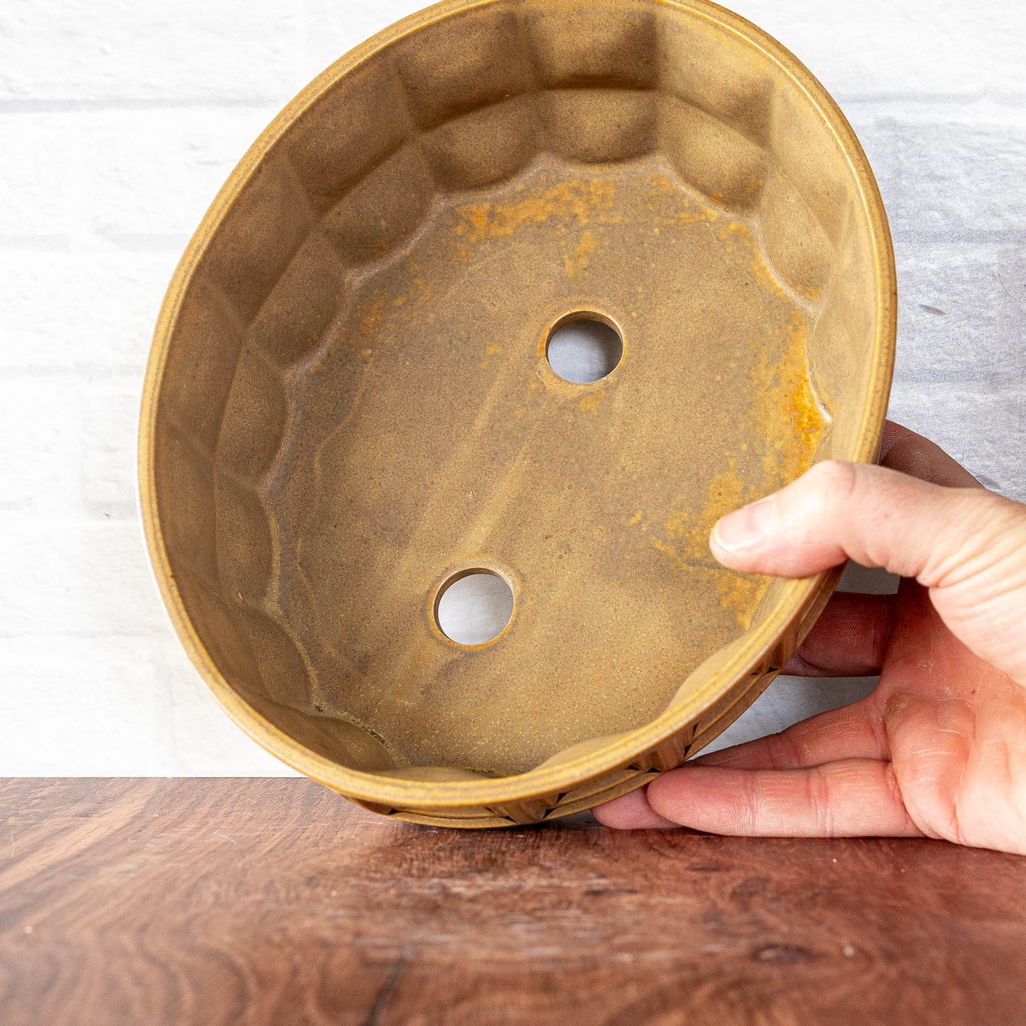 #188 - Bonsai/Succulent Planter