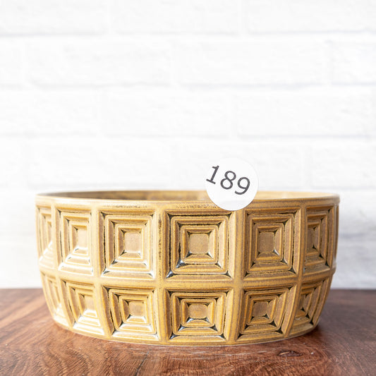 #189 - Bonsai/Succulent Planter