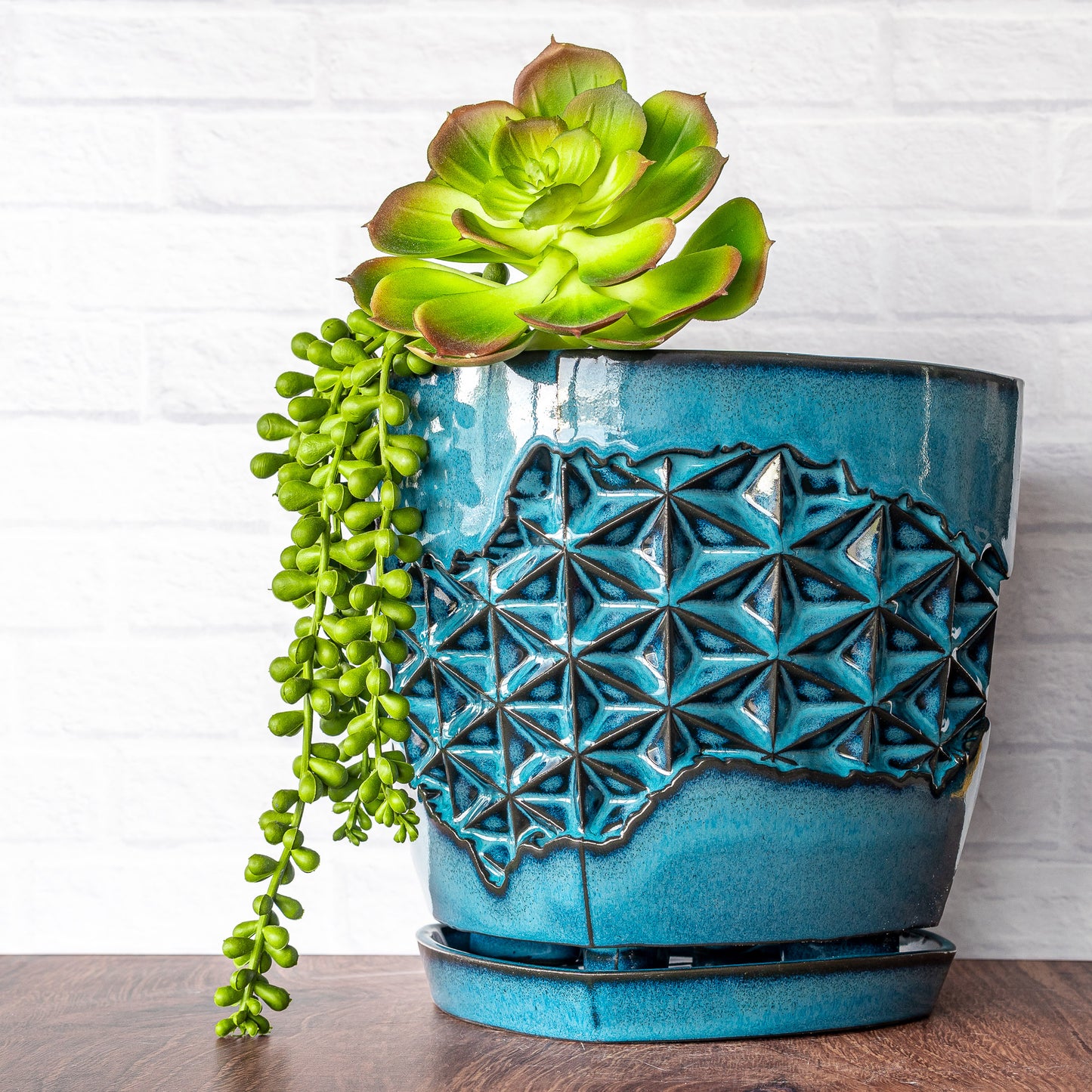 'Midnight Surf' 8" Wide Planter