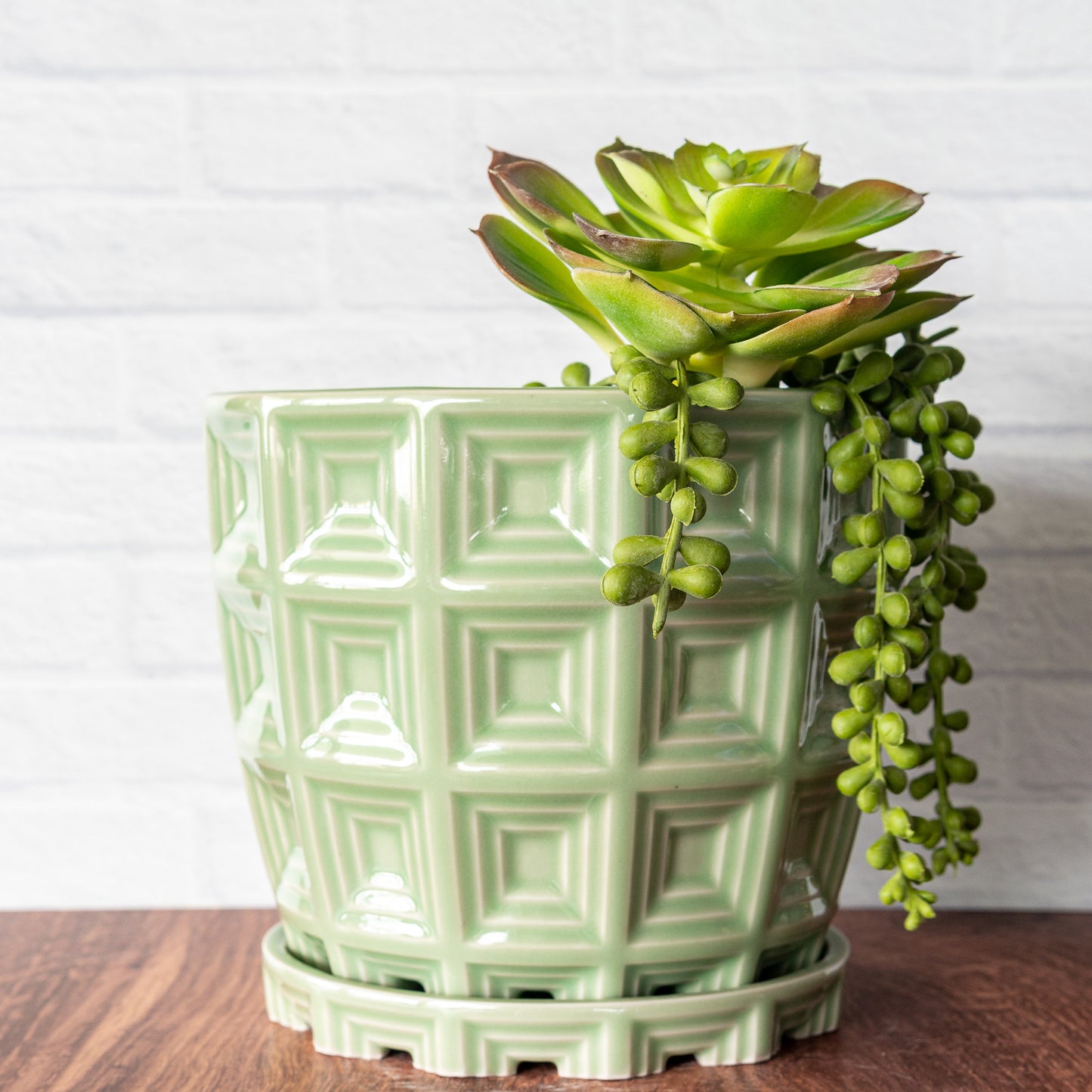 'Green Celadon' Pantheon Planter
