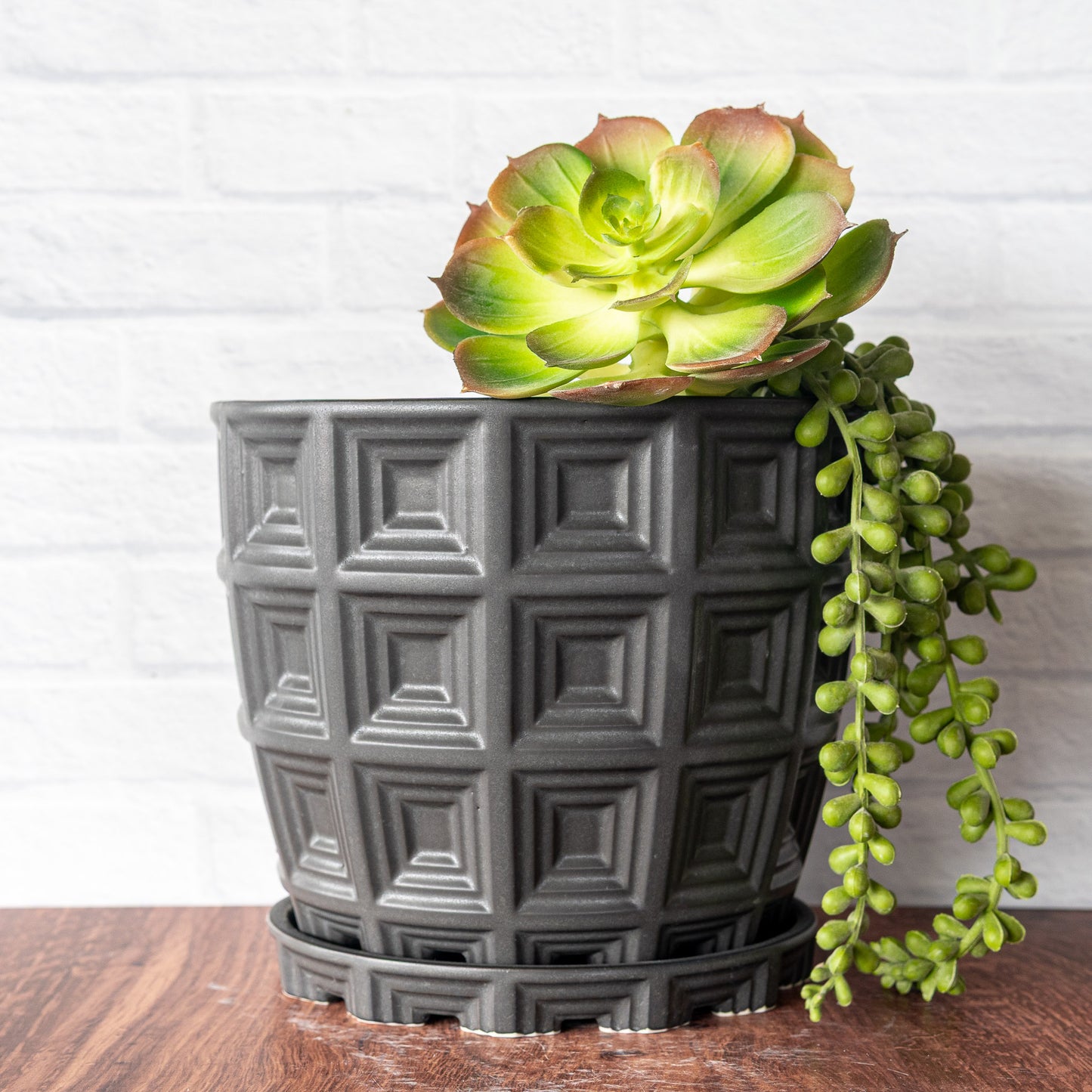 'Dark Matter' Pantheon Planter