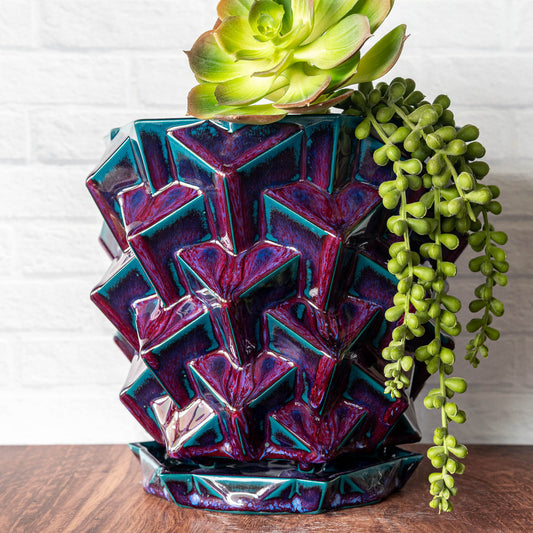 'Dragon Blood' Mega Cubes Planter