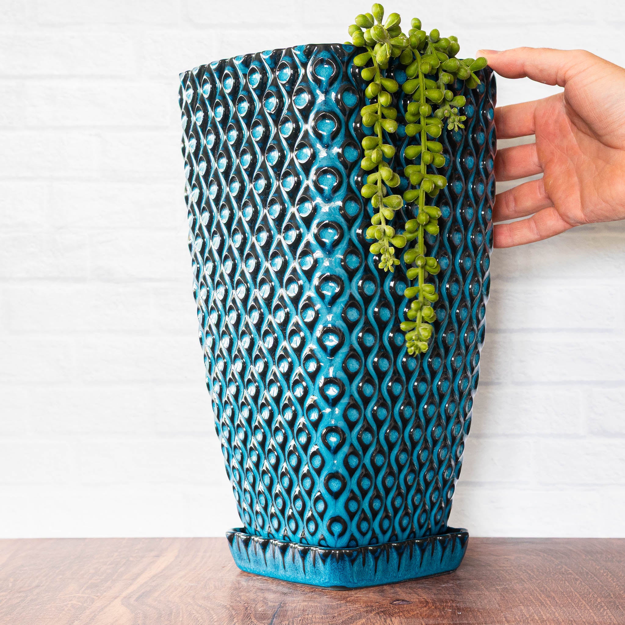 【まーさん】Ramat Planter #396&394 Peacock HC Planter | Handmade Geometric Porcelain | Hammerly Ceramics