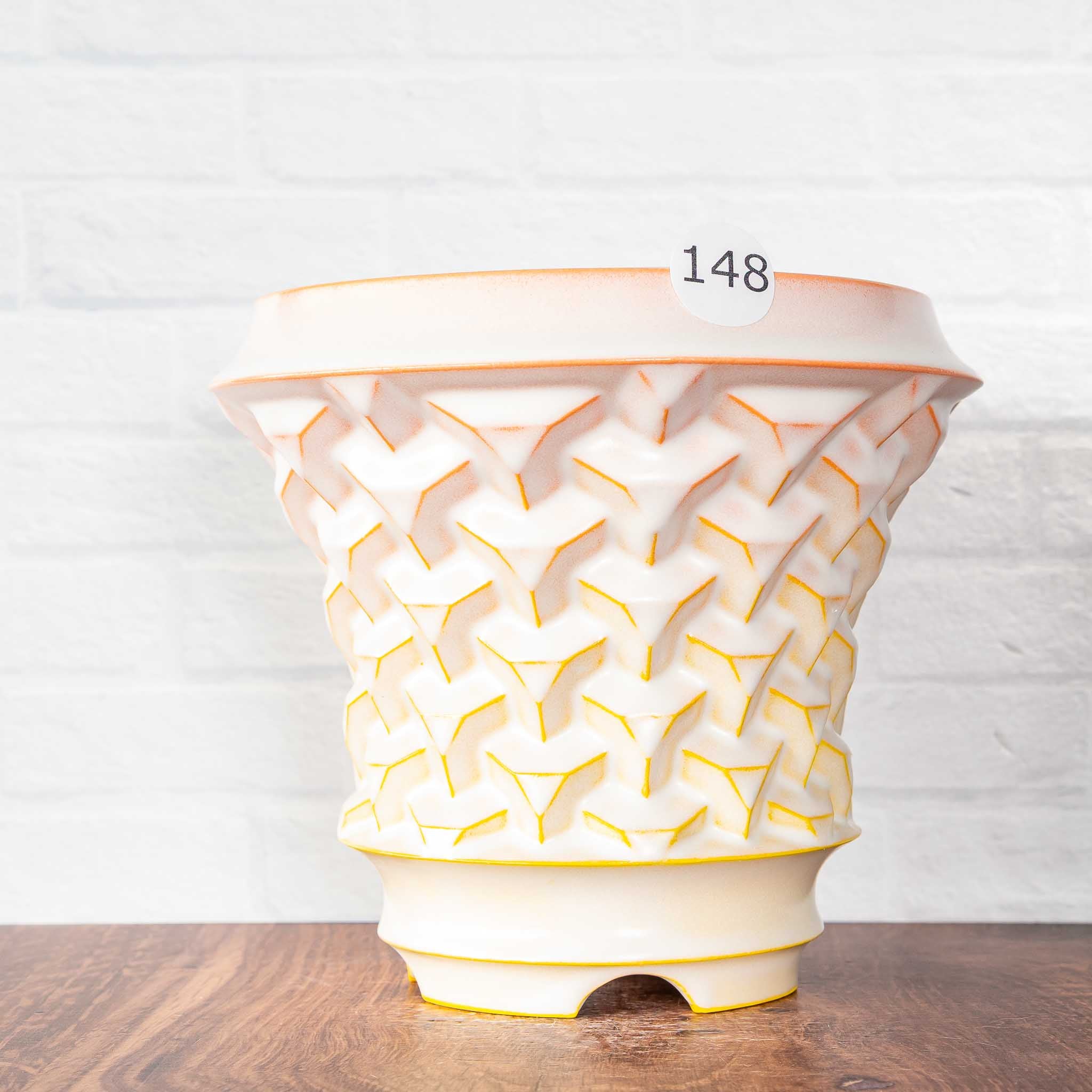 #148 - Agave Planter