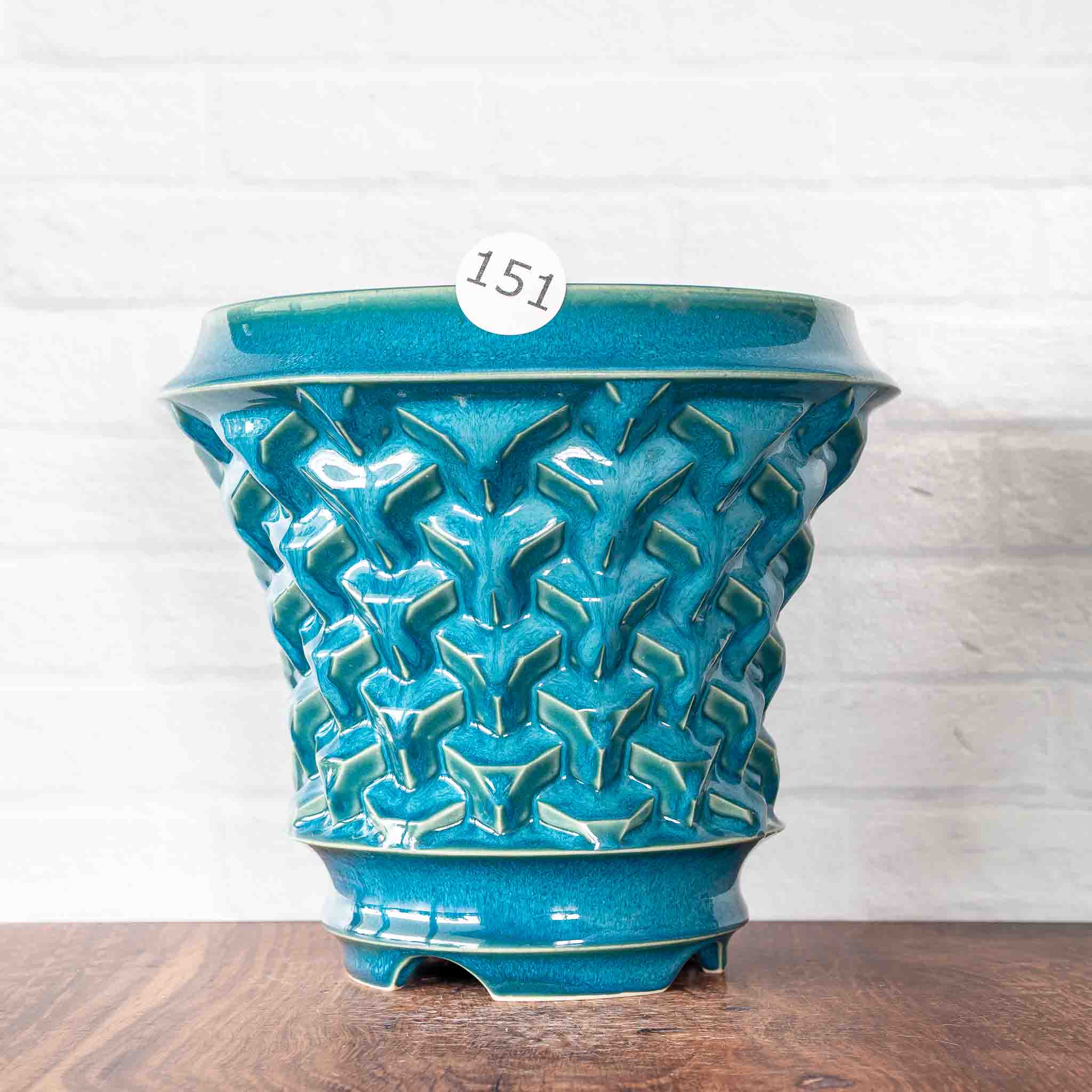#151 - Agave Planter