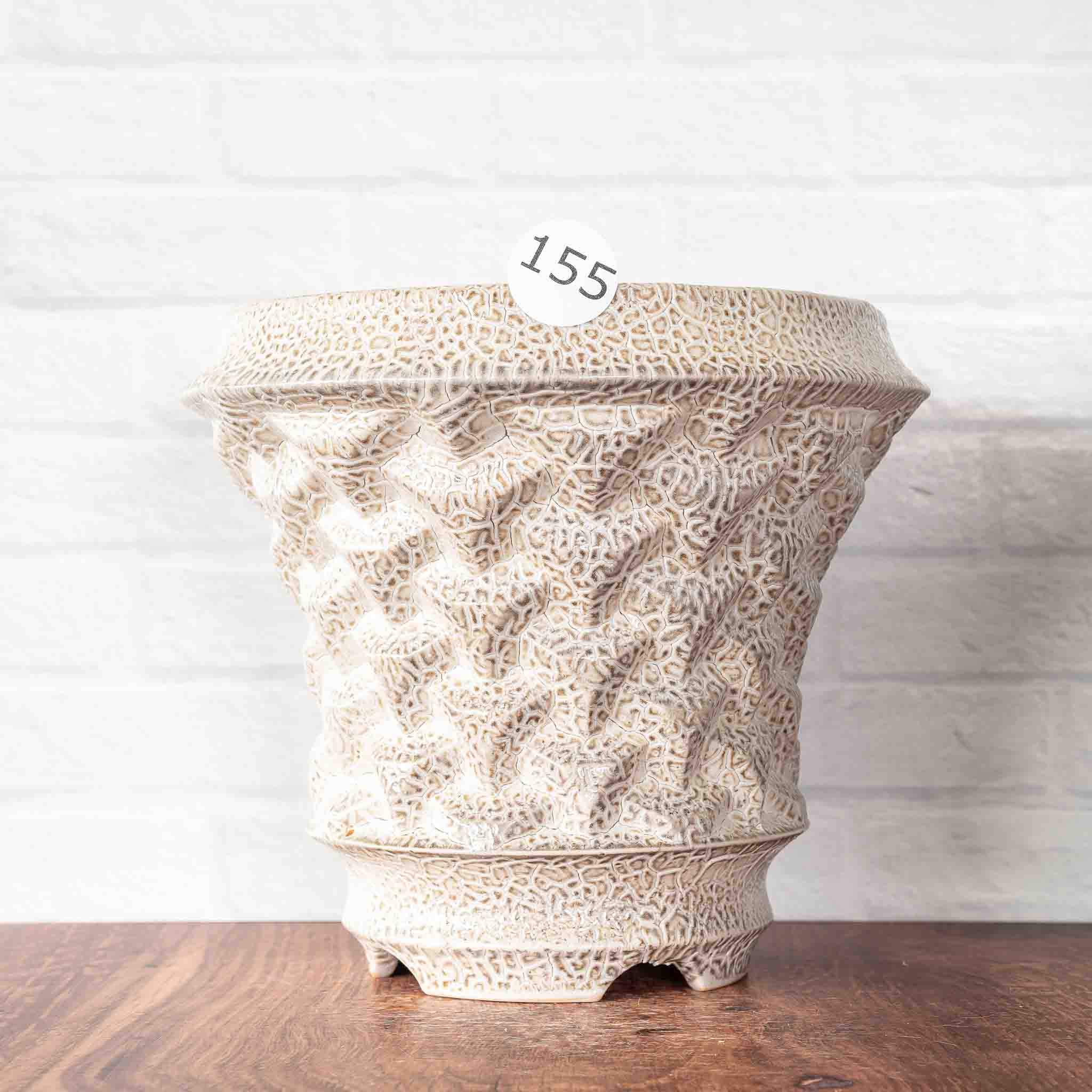 #155 - Agave Planter