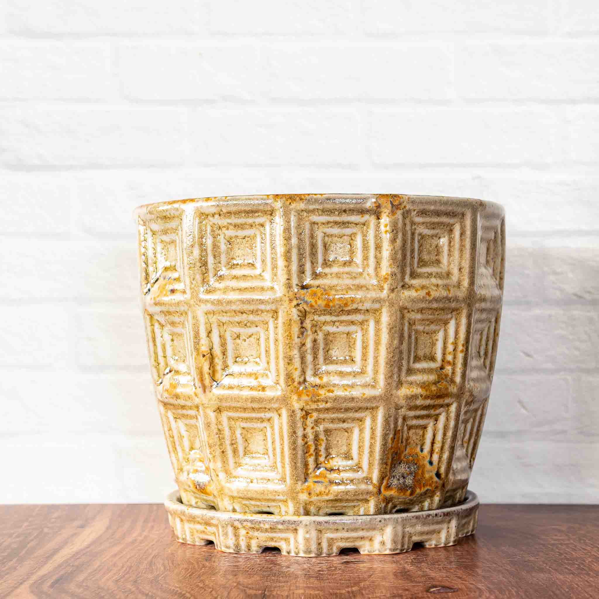 #163 - Pantheon Planter